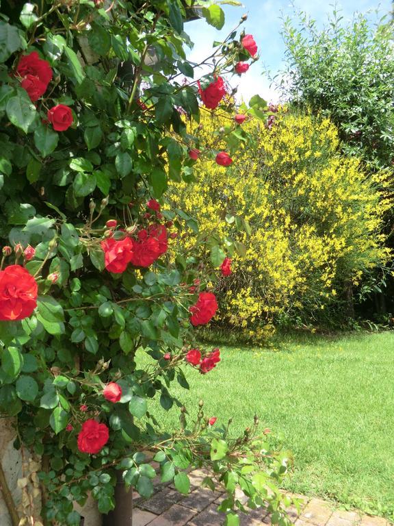 La Pieve Di San Martino Guest House Colle Val D'Elsa Exterior photo